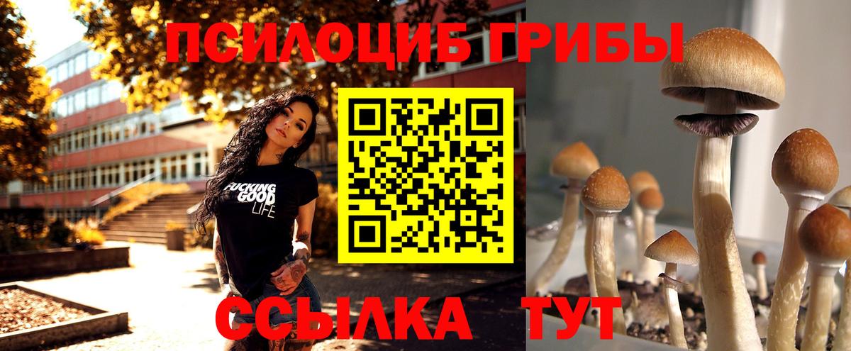 Псилоцибиновые грибы мухоморы Шелехов